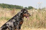 BEAUCERON 230